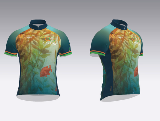 Women's Sport Cut Raglan Garibaldi Jersey